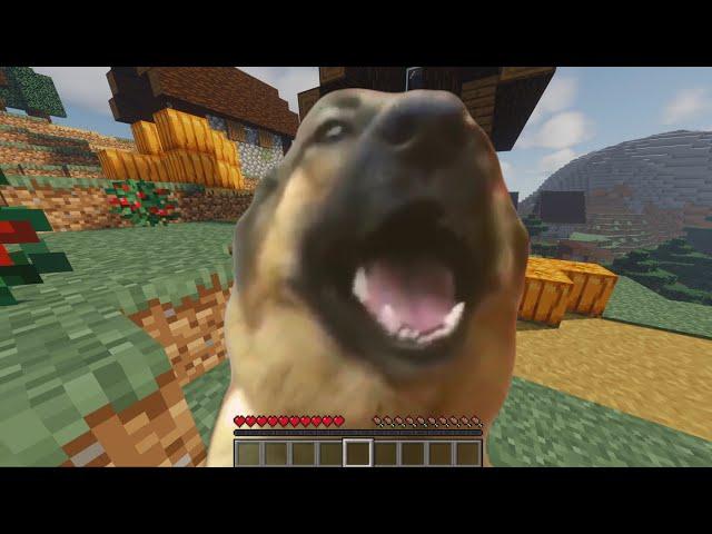 eyy, gtfo outta here dog meme minecraft version