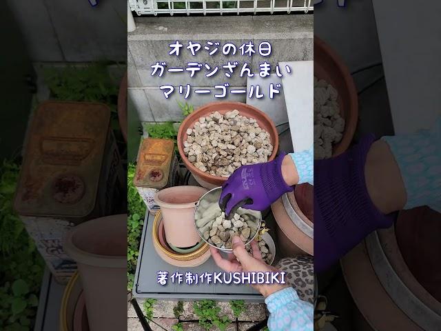 ガーデニング#マリーゴールド ガーデン#庭いじり #櫛引農園#DIY #オヤジの休日 #エクステリア
