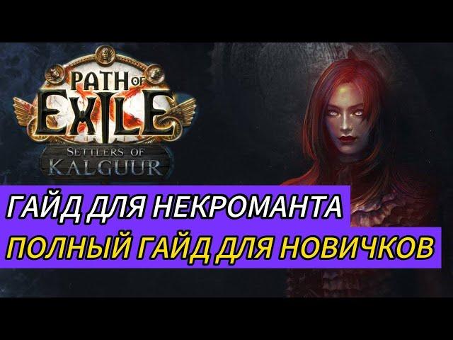 КАК УСПЕШНО НАЧАТЬ ИГРАТЬ В ПОЕ? ГАЙД ДЛЯ НОВИЧКОВ ПОЕ | Path of Exile