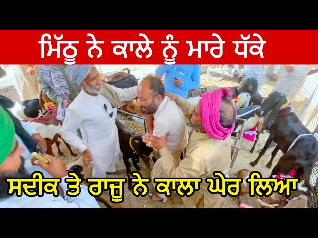 ਸਦੀਕ ਤੇ ਰਾਜੂ ਨੇ ਕਾਲਾ ਘੇਰ ਲਿਆ #goatfarming #bakramandi #farming #goats