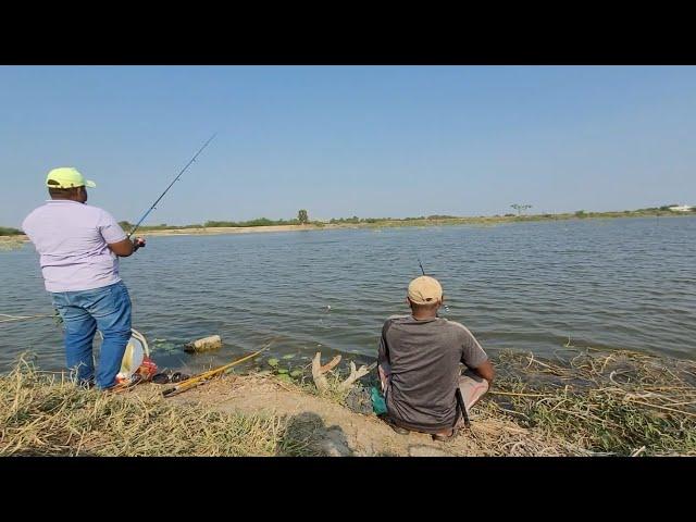 Best Hand line Fishing Technique|Catching Big Catfish & Rohu fishes in Village pond|Unique fishing