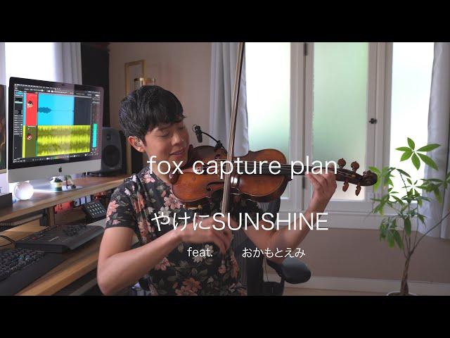 fox capture plan / やけにSUNSHINE feat. おかもとえみ (Jason Yang cover)