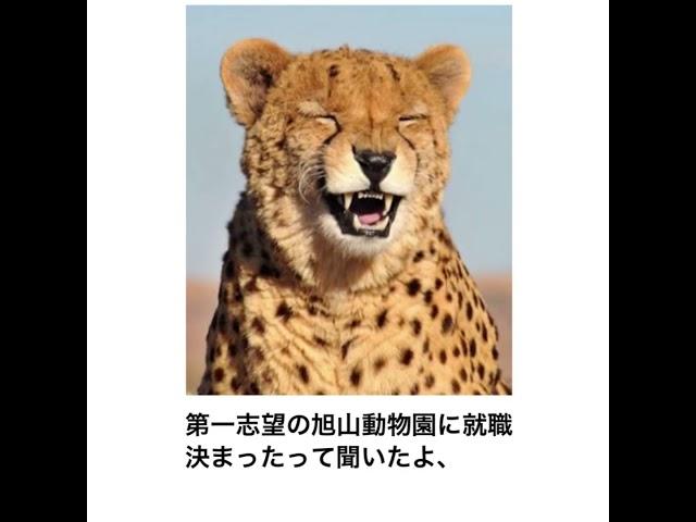【神回】殿堂入りボケてにアフレコしてツッコミ入れてみたｗ【120】#ボケて#ツッコミ #アフレコ