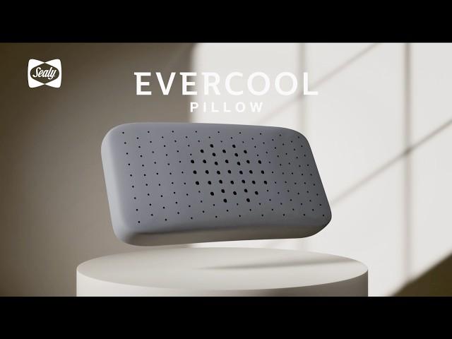 Sealy Evercool Pillow