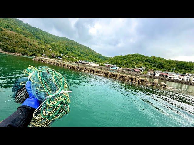 When a Japanese Fisherman Sets Up a Net Specifically Designed for Catching Rockfish...