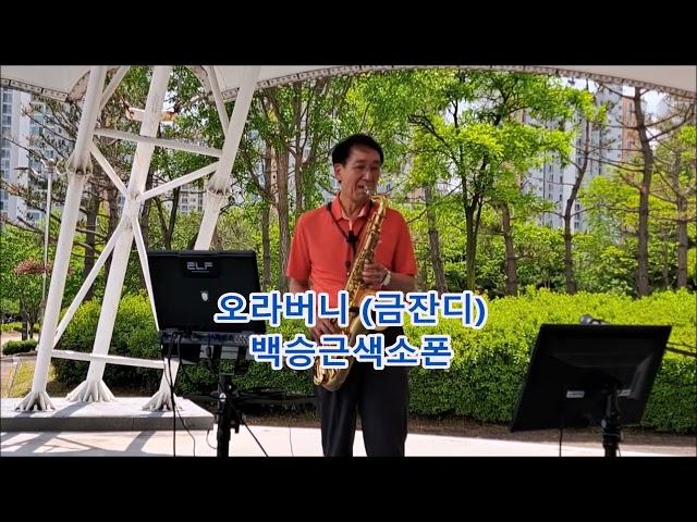 #오라버니 금잔디 #백승근색소폰Brother (Geum Jan-di) K-Trot playing tenor saxophone