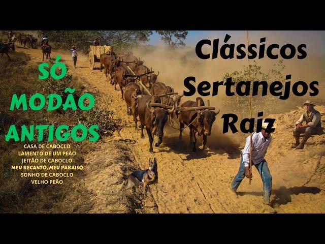 Clássicos Sertanejos Raiz (4)