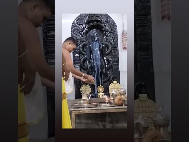 Jain Bhakti Video