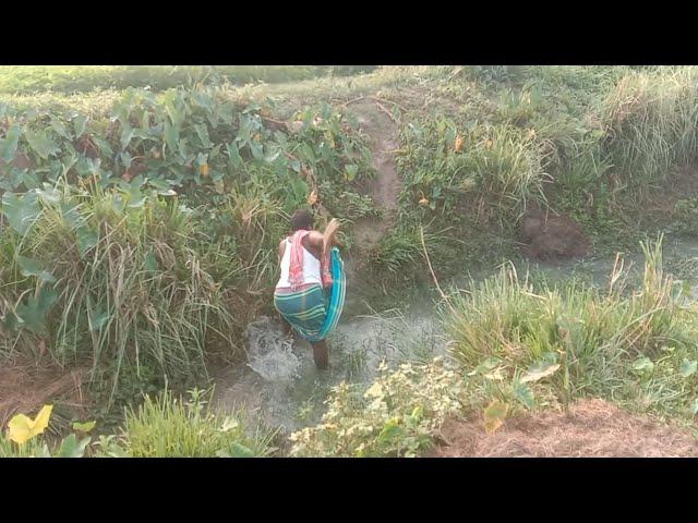 village Agro | village vlogs