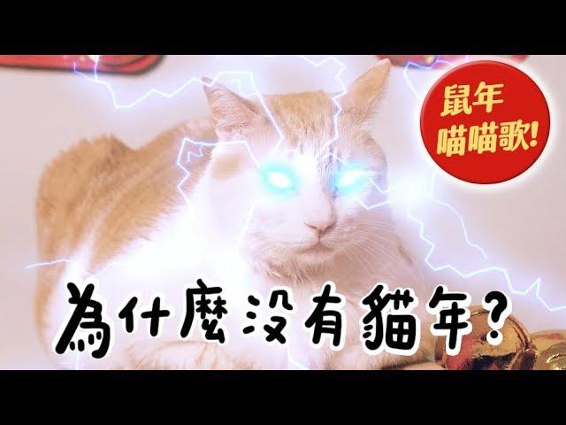 【黃阿瑪的後宮生活】為什麼沒有貓年？鼠年喵喵歌！
