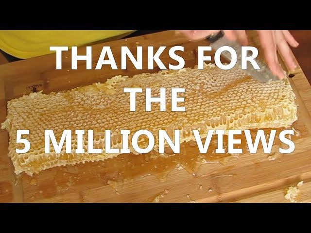 Cutting & Bottling Honey