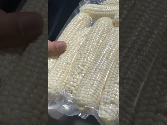 옥수수 진공포장하는 #업소용진공포장기 #복식진공포장기