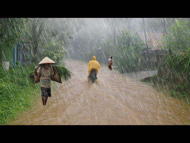 Walking in Heavy Rain and Strong Winds, Big Rain hit in Indonesia | Get Rid of Insomnia and Sleep