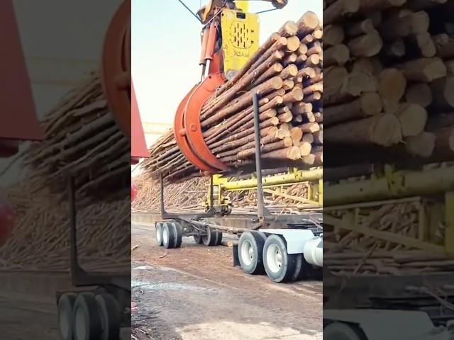 The process of unloading logs from a truck trailer