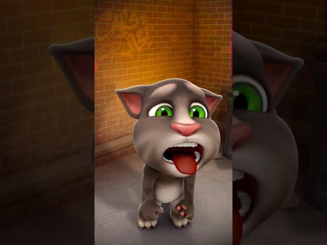 My Talking Tom 2 New Video Best Funny Android GamePlay #326