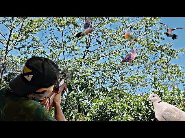 JACKPOT NA NAMAN SA DATING TAMBANGAN! | BIRD HUNTING | X4 RAF HUNTER EP56 | #hunter #hunting #fyp