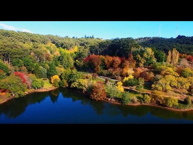 Autumn colours at Mount Lofty Botanic Garden 2017