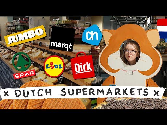 A guide to the DUTCH supermarkets | everything you can find in the NETHERLANDS