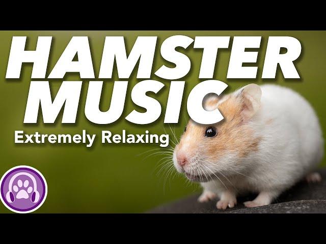 Music for Hamsters - Music to Relax Your Hamster at Night