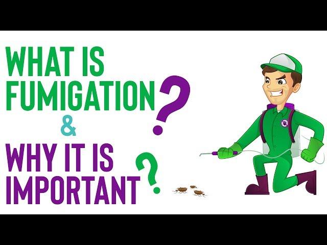 What is Fumigation and Why it is Important? [ Benefits of Fumigation ]