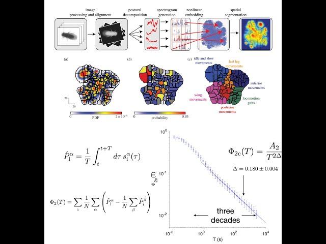 William Bialek: Finding evidence for scale invariance in animal behavior