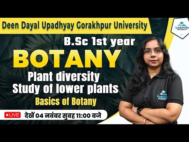 Plant Diversity Study of lower Plants (Basics of Botany) B.Sc 1st year | Ankita Ma'am | By Learnify