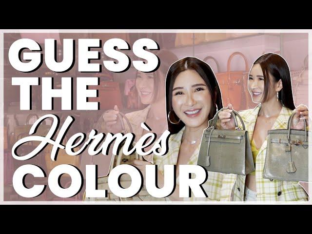 GUESS THE HERMES COLOUR WITH JC (FT. A SPECIAL GUEST!) | JAMIE CHUA