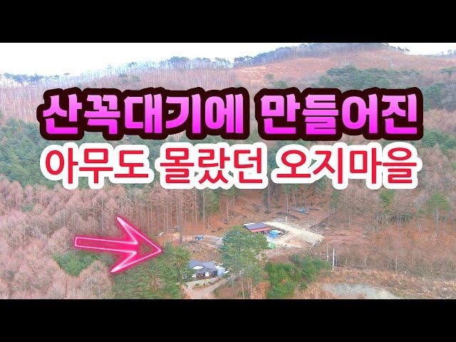 산꼭대기 아무도 몰랐던 해발 700m 전국에서 모여들어 만든 오지마을 이보다 좋을수 없다