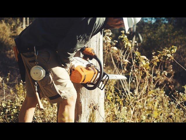 STIHL MS 462 C-M AUSSIE TREE FELLING