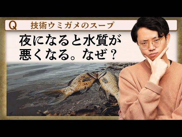 夜だけ水質が悪くなる水槽。何が起きてる？【技術ウミガメのスープ2】#150