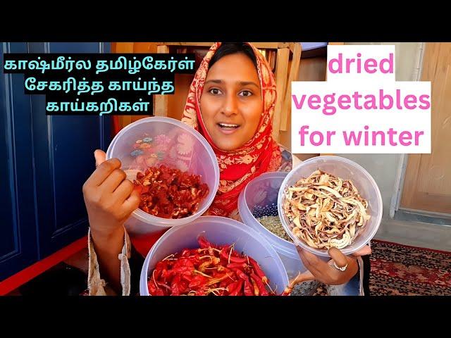 காஷ்மீர்ல தமிழ்கேர்ள் சேகரித்த காய்ந்த காய்கறிகள் / dried vegetables for winter #kashmir#vlog#tamil