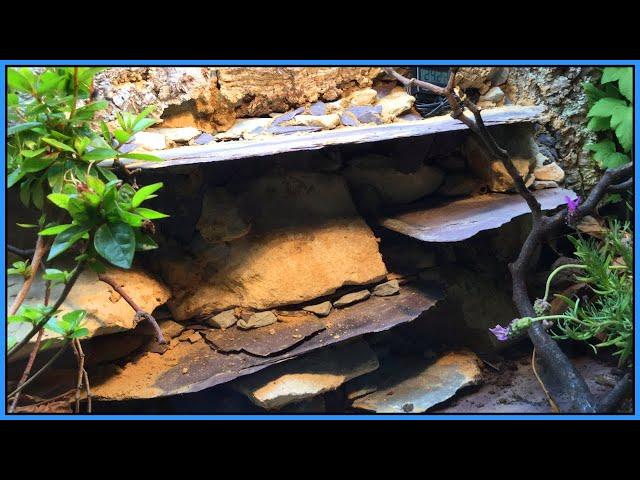 REAL Reptile Rock Background - DIY Rock Wall for Reptile Tank | How to Set Up a Vivarium #3