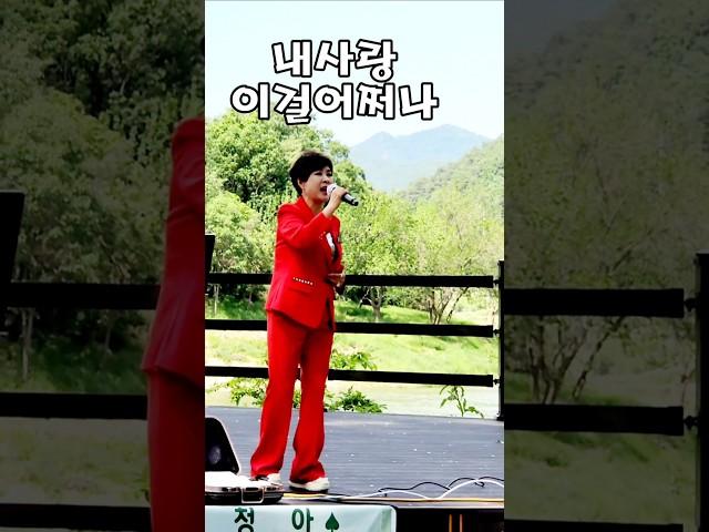 이걸어쩌나~#살짝쿵 #청청아 ️️구독좋아요 #안수 작사작곡