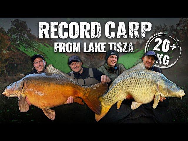 Gábor Döme – Big Carp Strategy on Lake Tisza