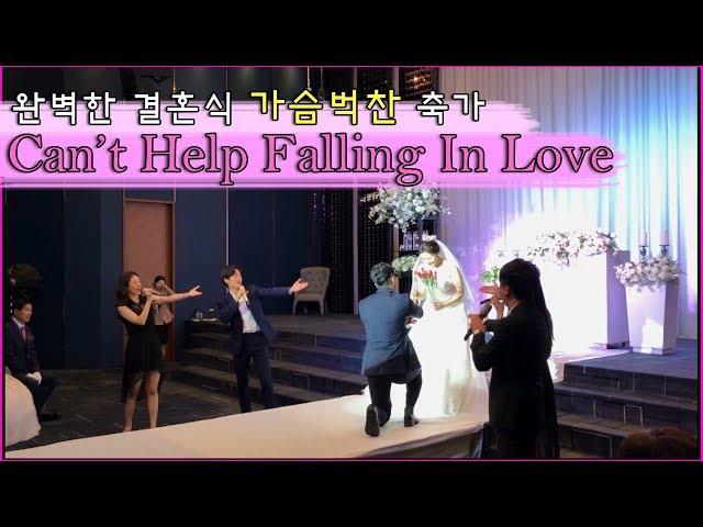 Can't Help Falling In Love 창원뮤지컬축가