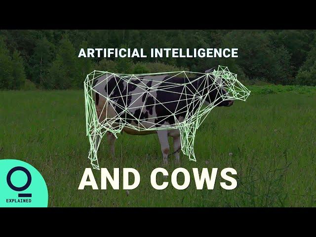 How Dairy Farmers Are Using AI