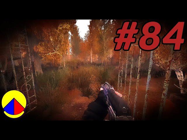 STALKER Anomaly 1.5 Mod (Beta 3) | Mortal Sin: Mysterious Envoy (& Beyond) #84