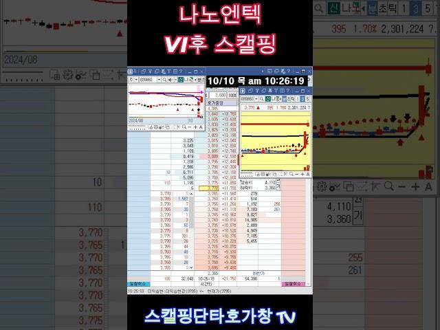 나노엔텍 VI후 스캘핑