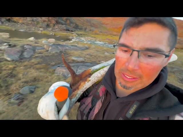 Fall caribou hunting down the bay