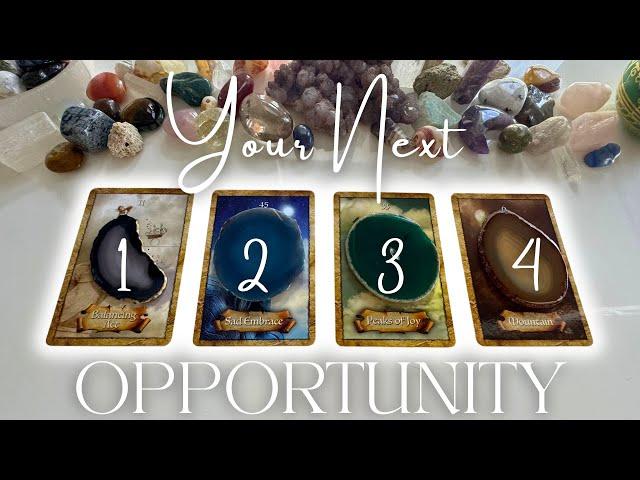 What Is Your Next Opportunity Pick A Card   Tarot Reading