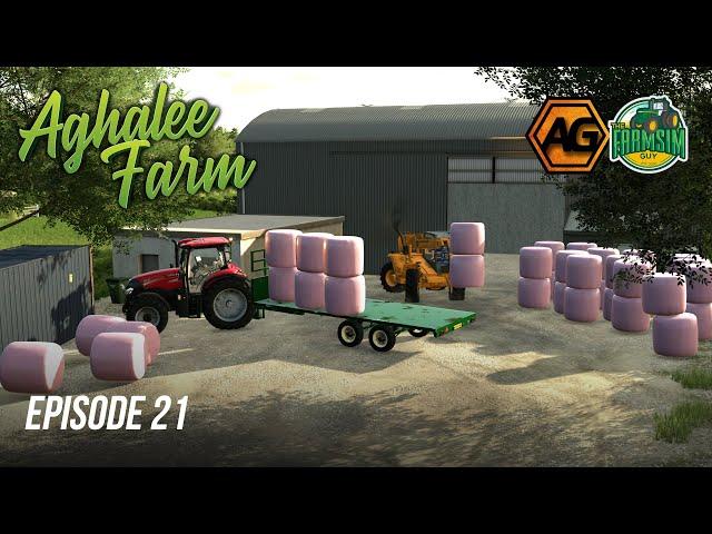 Teamwork Makes the Dream Work - Aghalee Farms - Episode 21