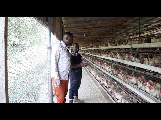 Day in the Life of Farmer Ernest | Yaa Okani Farms | Farming in Ghana
