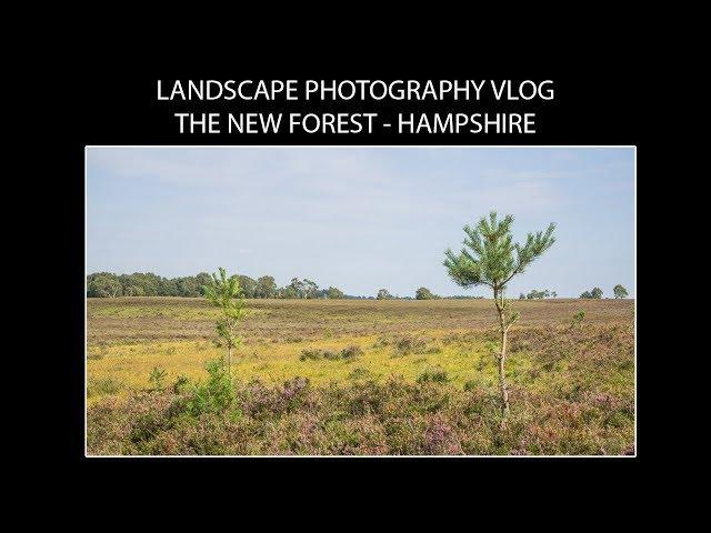 Landscape Photography Vlog - The New Forest - Hampshire (1st Vlog in England!)