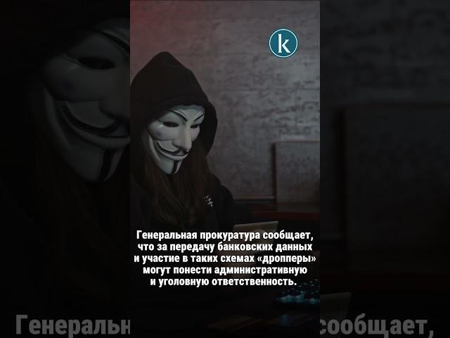 Свыше 110 млн тенге взыскано с «дропперов» в Павлодарской области #kazinform #дроппер #штраф #news