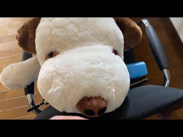 【スヌーピー事件】#short