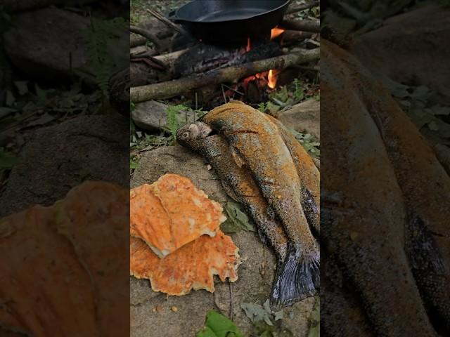 Trout Catch & Cook and Chicken of the Woods with Doug