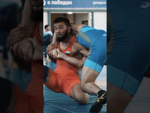Shamil Mamedov VS Ibragim Ibragimov
