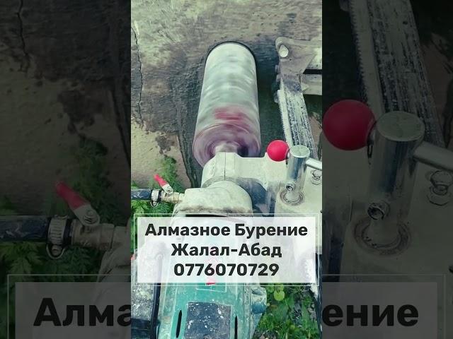 2025-ж., 11-Бугу