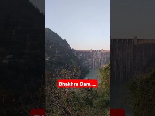#bhakhradam #incrediblehimachal #indian @himachalwalaa @KangraBoys