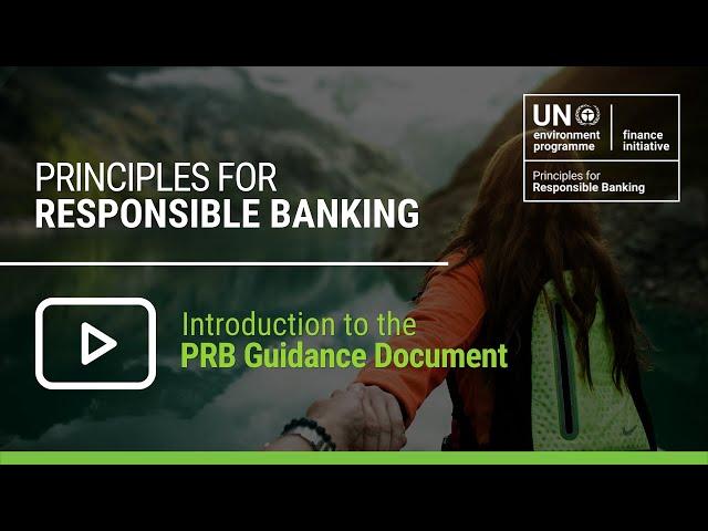 Webinar: Presentation of Principles for Responsible Banking Guidance Document